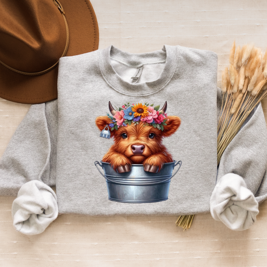 Highland Cow