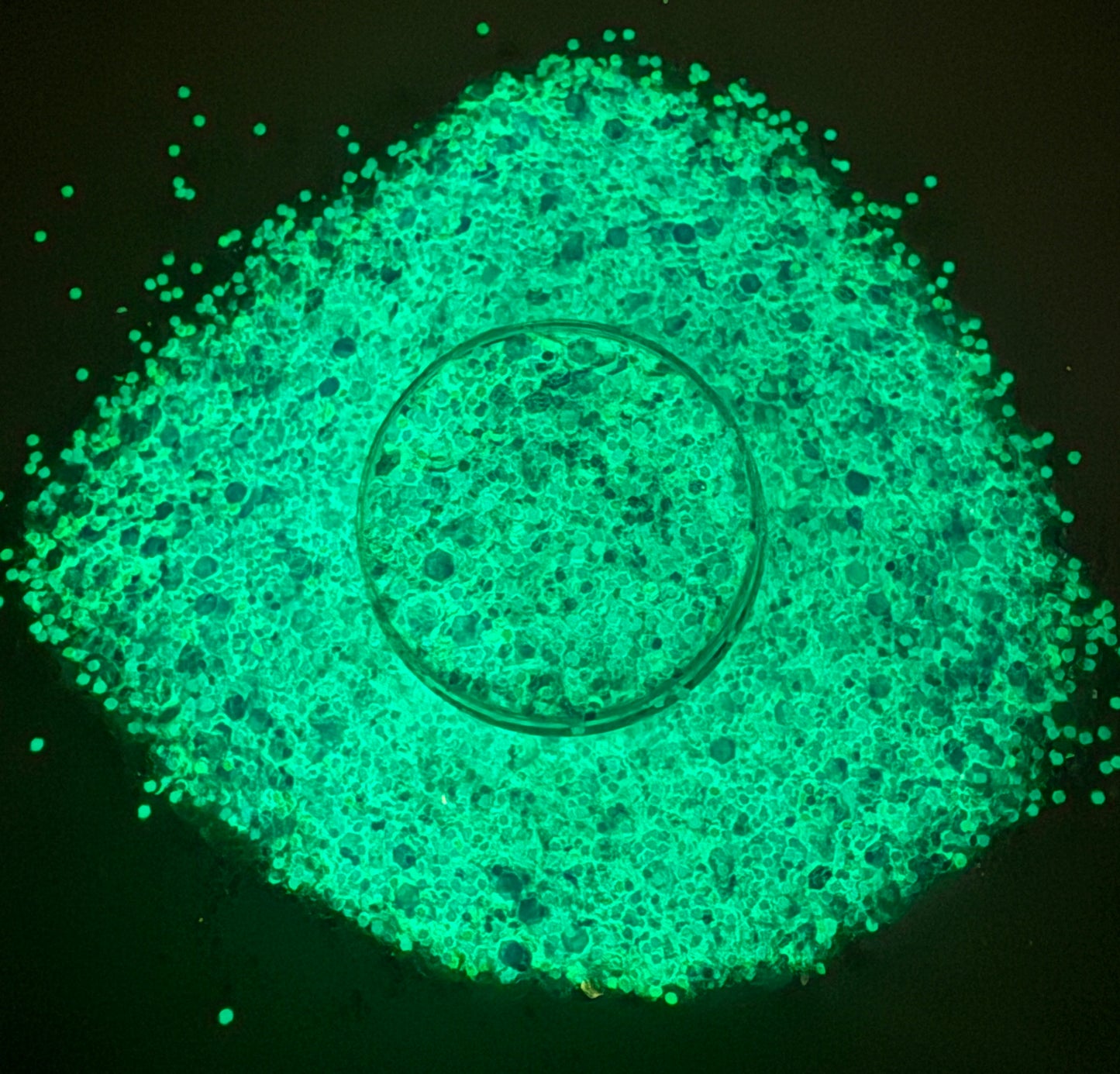 Let It Glow- Glow in the Dark
