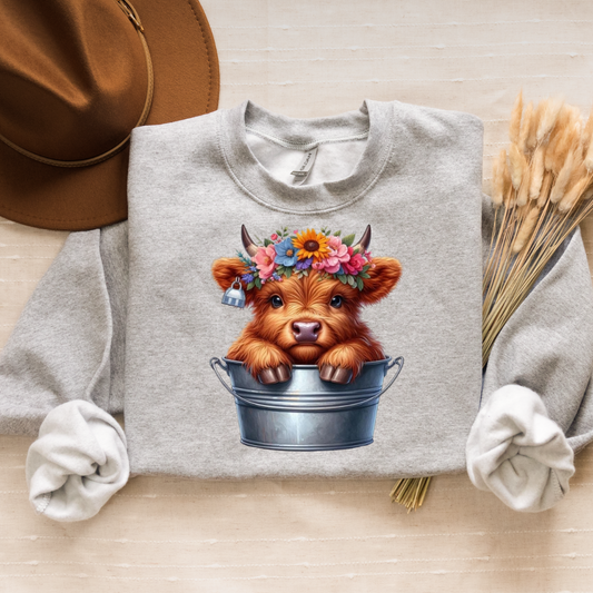 Highland Cow