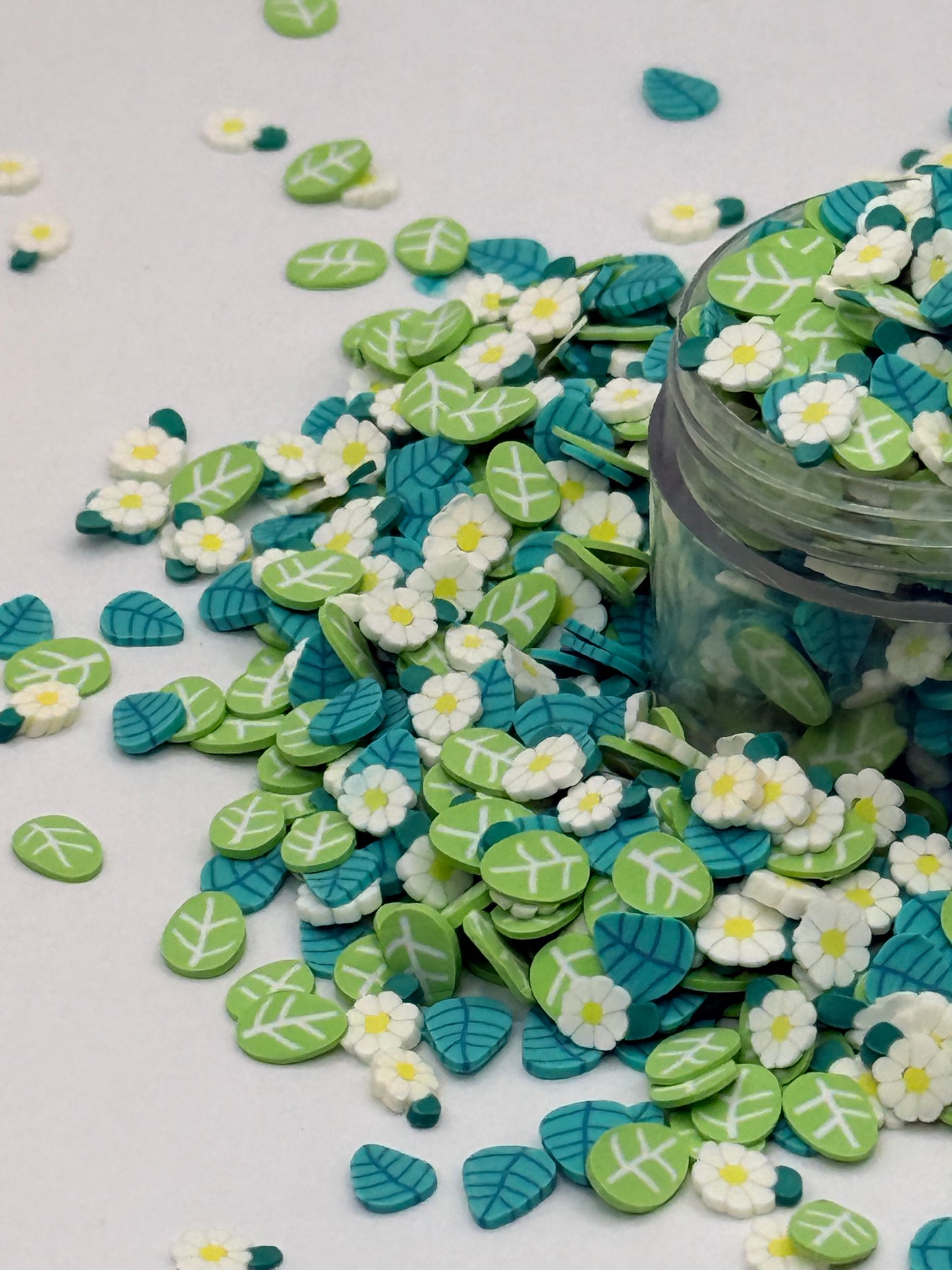 Daisies