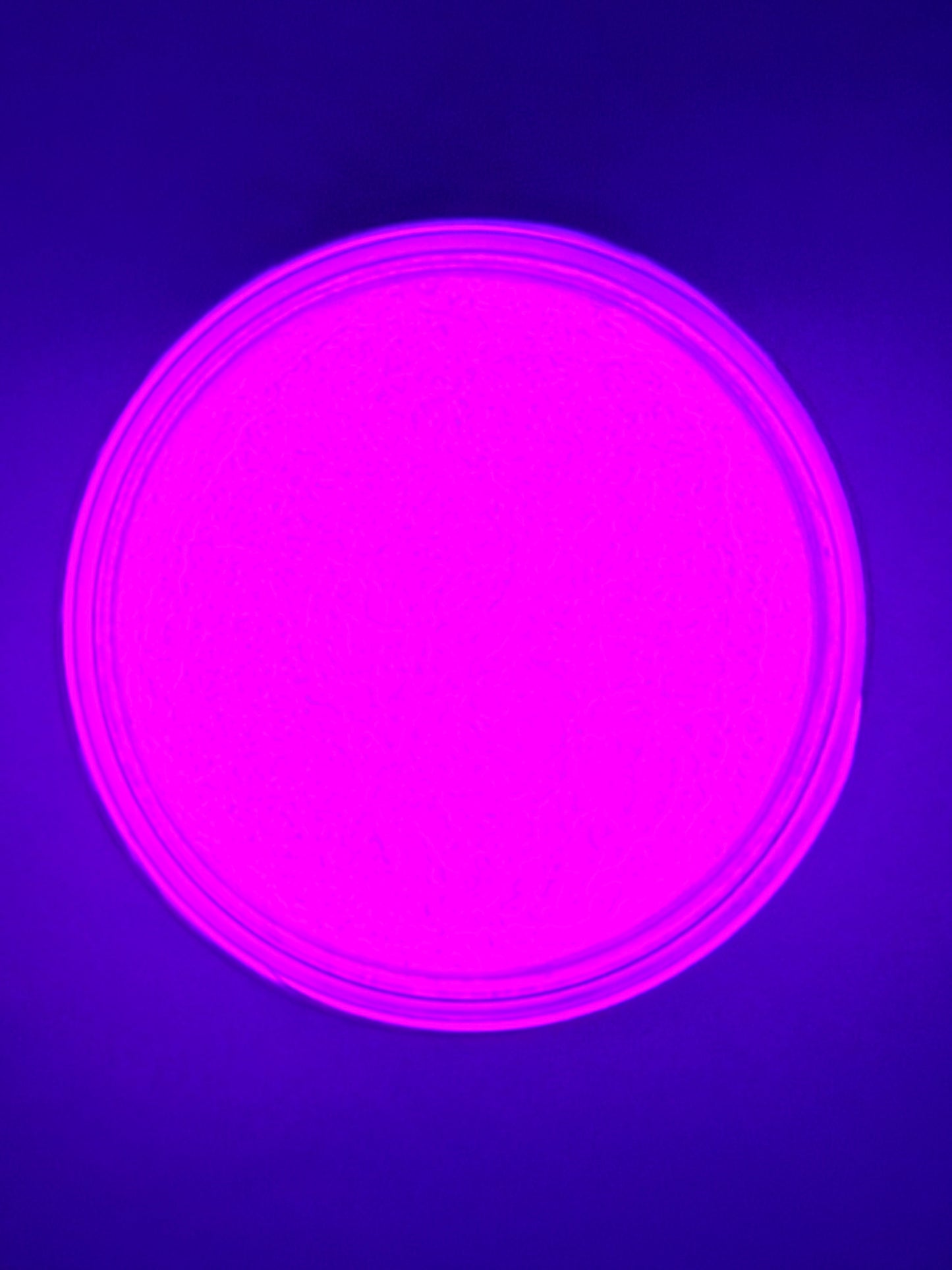 Neon Pink (Glow in the Dark Mica) 50g