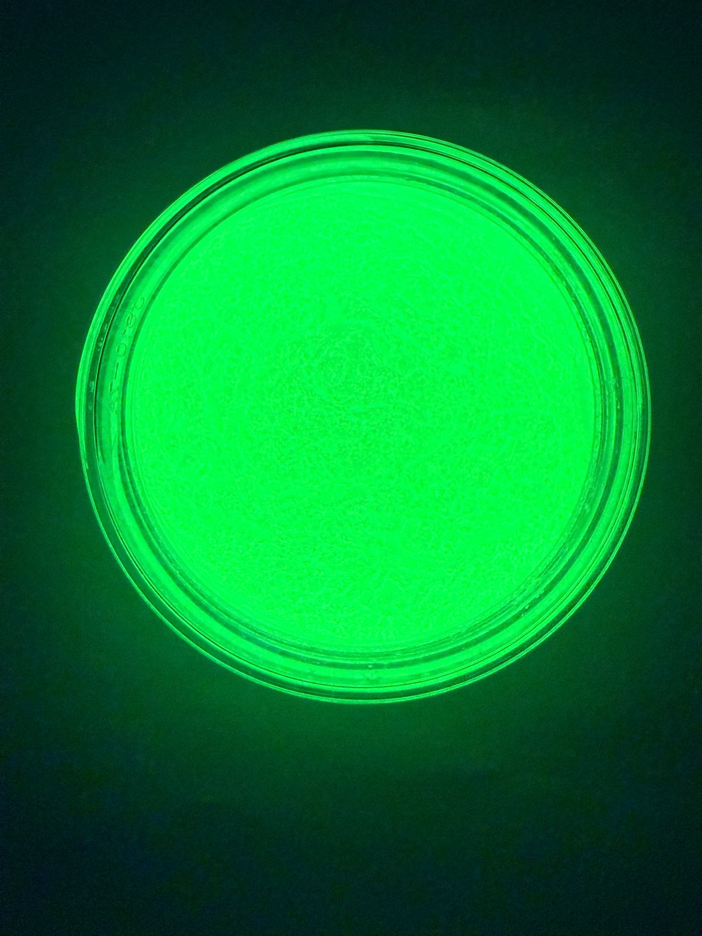 Neon Green (Glow in the Dark Mica) 50g