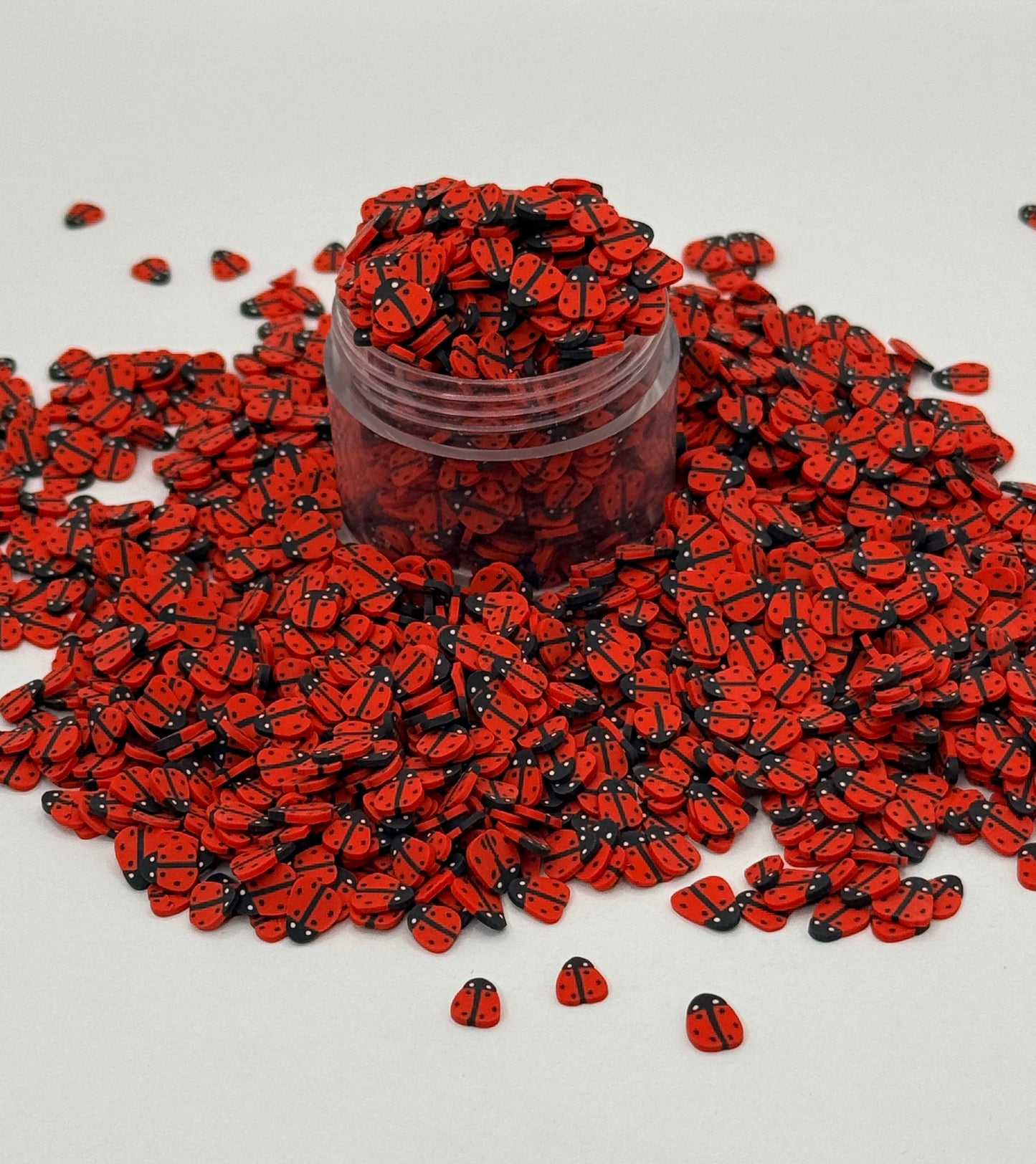Ladybug